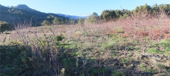 1 Schlafzimmer Haus in Fundao, Portugal, Nr. 63151 8
