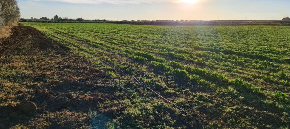 Grundstück in Bernalda, Italy 143603m², Nr. 68552 6