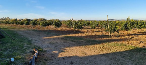 Grundstück in Bernalda, Italy 143603m², Nr. 68552 8