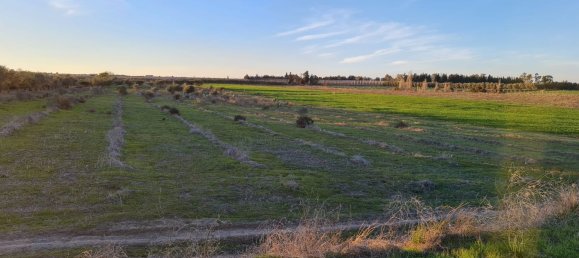 Grundstück in Bernalda, Italy 143603m², Nr. 68552 16