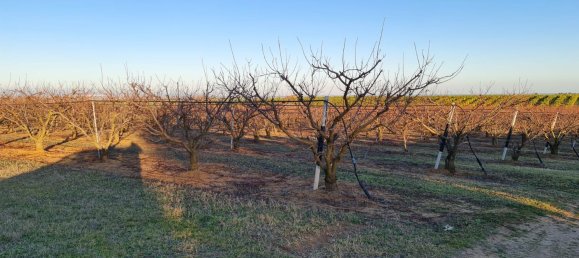 Grundstück in Bernalda, Italy 143603m², Nr. 68552 13