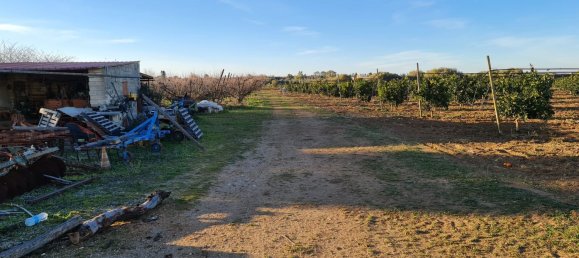 Grundstück in Bernalda, Italy 143603m², Nr. 68552 15