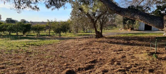 Grundstück in Bernalda, Italy 143603m², Nr. 68552 12