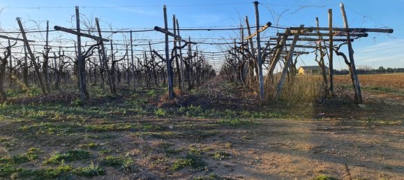 Grundstück in Bernalda, Italy 143603m², Nr. 68552 7