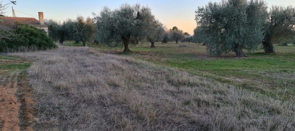 Grundstück in Bernalda, Italy 143603m², Nr. 68552 2