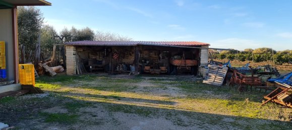 Grundstück in Bernalda, Italy 143603m², Nr. 68552 10