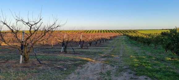 Grundstück in Bernalda, Italy 143603m², Nr. 68552 14