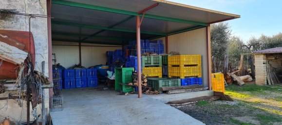 Grundstück in Bernalda, Italy 143603m², Nr. 68552 11