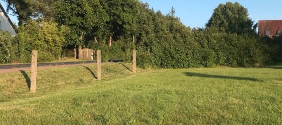  قطعة أرض في Mecklenburgische Seenplatte, Germany رقم 218846 2