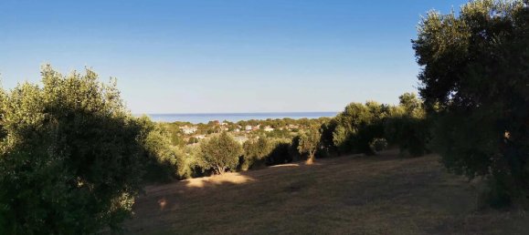 Terreno em Elis, Greece 6253 m² N.º 93257 9