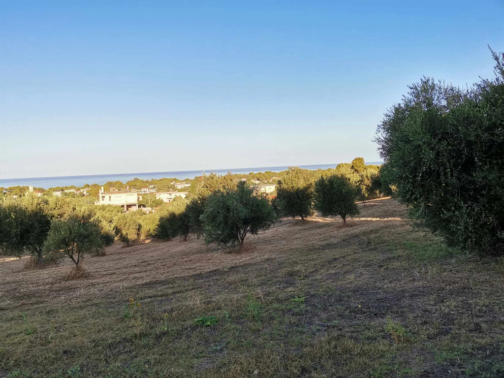 Grundstück in Elis, Greece 6253m², Nr. 93257