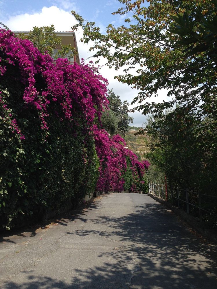  مرآب في Riva Ligure, Italy 15متر مربع رقم 254660