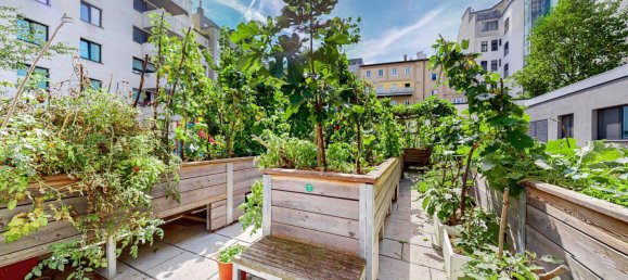 Studio in Brigittenau, Austria No. 229271 10