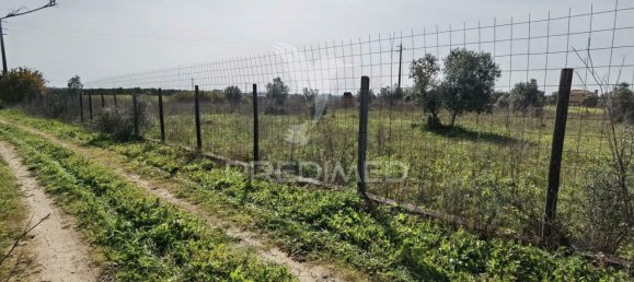 9600m² Land in Santarem, Portugal No. 57347 5