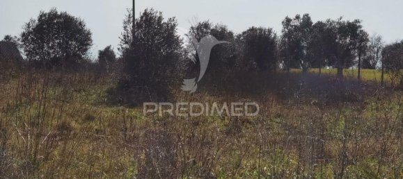 9600m² Land in Santarem, Portugal No. 57347 13