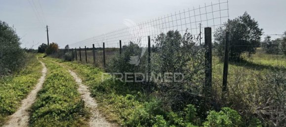 9600m² Land in Santarem, Portugal No. 57347 6
