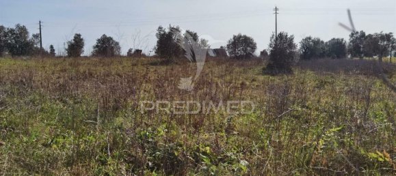 9600m² Land in Santarem, Portugal No. 57347 12
