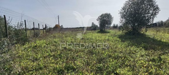 9600m² Land in Santarem, Portugal No. 57347 16