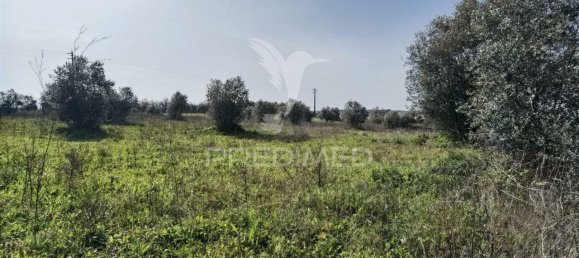 9600m² Land in Santarem, Portugal No. 57347 20