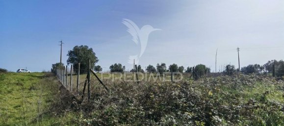9600m² Land in Santarem, Portugal No. 57347 7