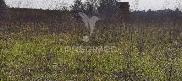 9600m² Land in Santarem, Portugal No. 57347 19