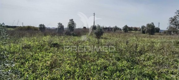 9600m² Land in Santarem, Portugal No. 57347 14