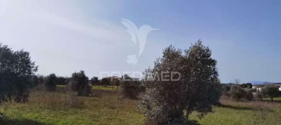 9600m² Land in Santarem, Portugal No. 57347 18