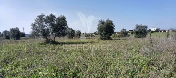 9600m² Land in Santarem, Portugal No. 57347 15