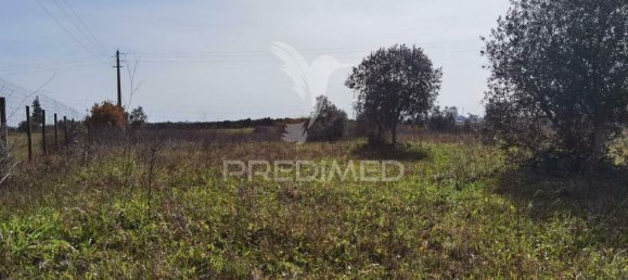 9600m² Land in Santarem, Portugal No. 57347 10