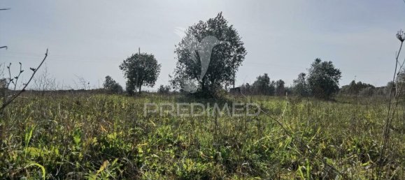 9600m² Land in Santarem, Portugal No. 57347 17