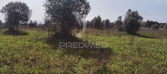 9600m² Land in Santarem, Portugal No. 57347 4