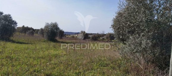 9600m² Land in Santarem, Portugal No. 57347 11