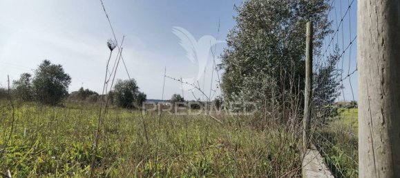 9600m² Land in Santarem, Portugal No. 57347 8