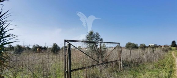 9600m² Land in Santarem, Portugal No. 57347 3