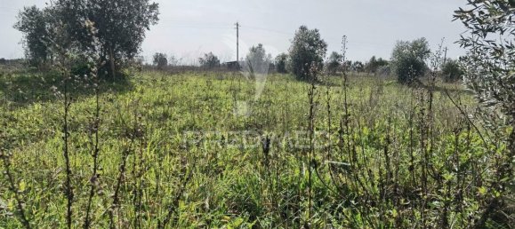 9600m² Land in Santarem, Portugal No. 57347 21