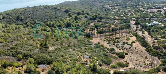 22230m² Land in Budens, Portugal No. 136888 8