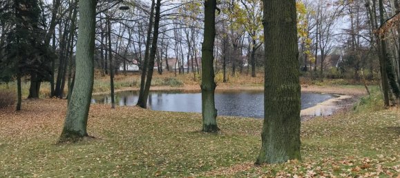 10غرفة منزل في Spree-Neise, Germany رقم 84843 3