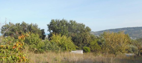 1-Zimmer Grundstück in Monteprandone, Italy, Nr. 69689 6