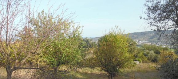 1-Zimmer Grundstück in Monteprandone, Italy, Nr. 69689 7