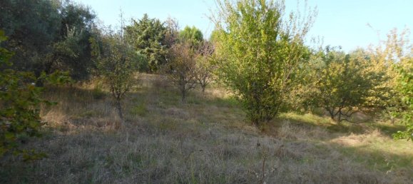 1-Zimmer Grundstück in Monteprandone, Italy, Nr. 69689 4