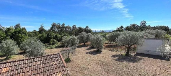 3 bedrooms Castles in Tabua, Portugal No. 268578 26