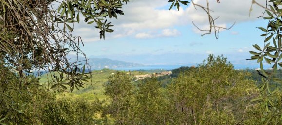  فندق في Corfu, Greece 4673متر مربع رقم 4064 14