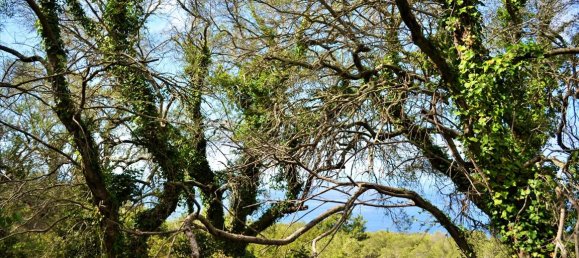 4673m² Hotel in Corfu, Greece No. 4064 4