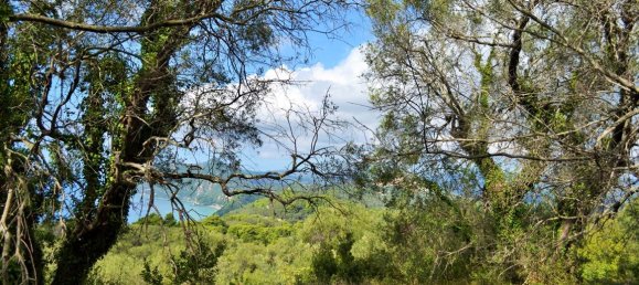 4673m² Hotel in Corfu, Greece No. 4064 3