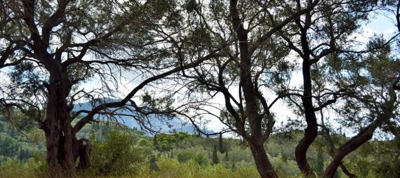 4673m² Hotel in Corfu, Greece No. 4064 12