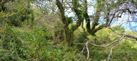 4673m² Hotel in Corfu, Greece No. 4064 10