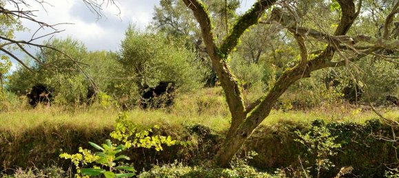 4673m² Hotel in Corfu, Greece No. 4064 7