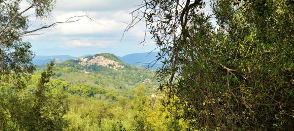  فندق في Corfu, Greece 4673متر مربع رقم 4064 6