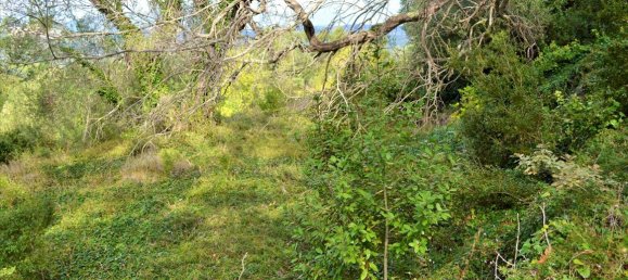 4673m² Hotel in Corfu, Greece No. 4064 8