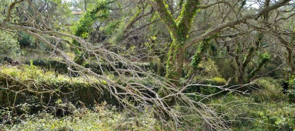 4673m² Hotel in Corfu, Greece No. 4064 11